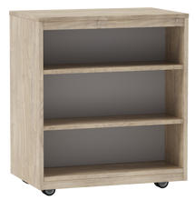 Load image into Gallery viewer, artcobell Storage mobile library shelves linear
