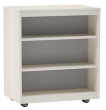 Load image into Gallery viewer, artcobell Storage mobile library shelves linear