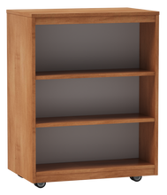 Load image into Gallery viewer, artcobell Storage mobile library shelves linear