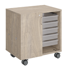 Load image into Gallery viewer, Mobile classroom storage featuring two columns of trays, customizable laminate finishes, optional doors, and durable rolling casters.