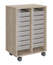 Load image into Gallery viewer, Mobile classroom storage unit with two tray columns, customizable laminate finishes, optional doors, and durable casters for organized, flexible storage.
