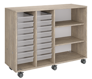 Rolling classroom storage with two columns of totes and one column of shelves, customizable laminate finishes, optional doors, and locking casters for flexible organization.